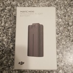 Magic Mini Intelligent Flight battery